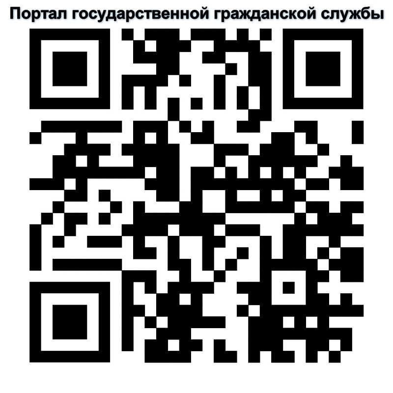 Портал государственной гражданской службы Портал государственной гражданской службы.