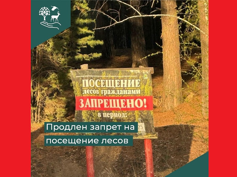 Запрет на посещение лесов.