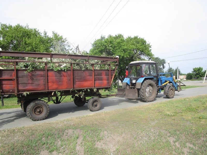 Субботник - 2025.
