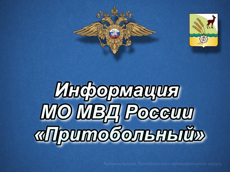 Каникулы с Общественным советом.
