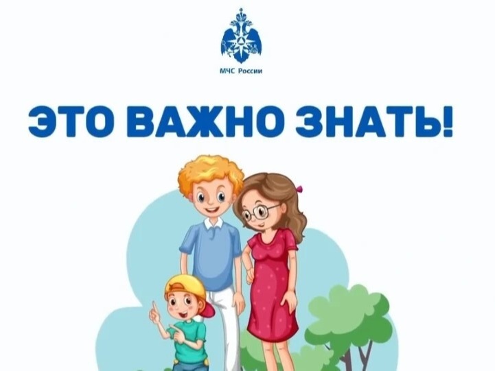 Электросамокаты, моноколеса и другие средства индивидуальной мобильности давно стали привычной частью наших улиц.