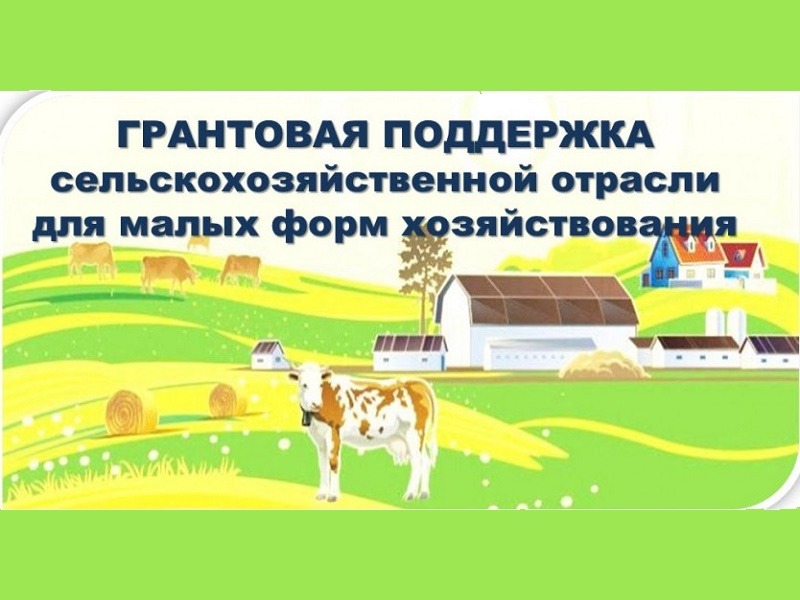 Меры поддержки.