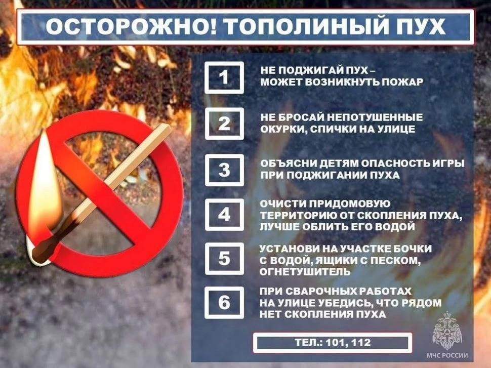 Тополиный пух - белый «порох», способен поджечь твой дом по всему периметру за 1 минуту.