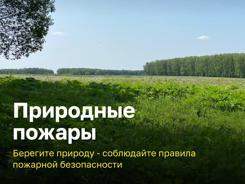 Природные пожары. Берегите природу - соблюдайте правила пожарной безопасности..