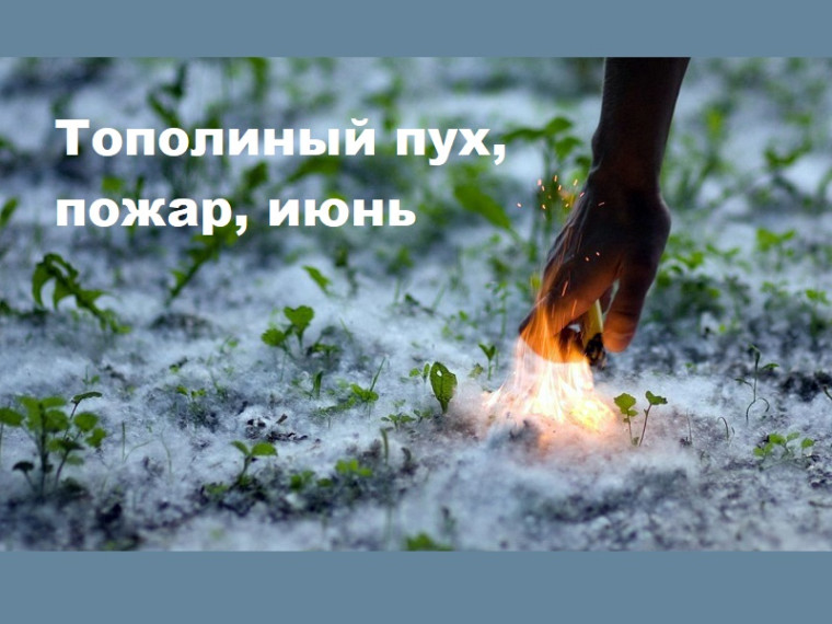 В Курганской области действует особый противопожарный режим. Строго запрещено разведение открытого огня..