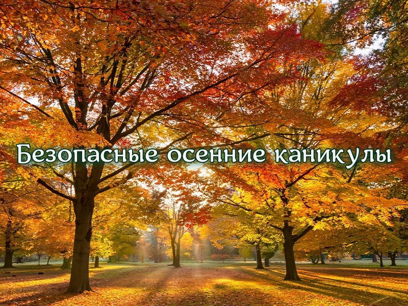 Памятка "Безопасные осенние каникулы - 2025".