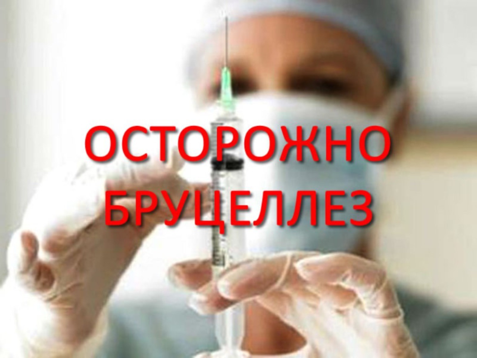 Памятка для владельцев животных.