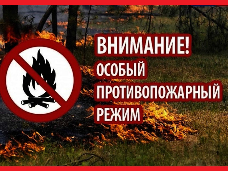 Противопожарная безопасность. Противопожарная безопасность.