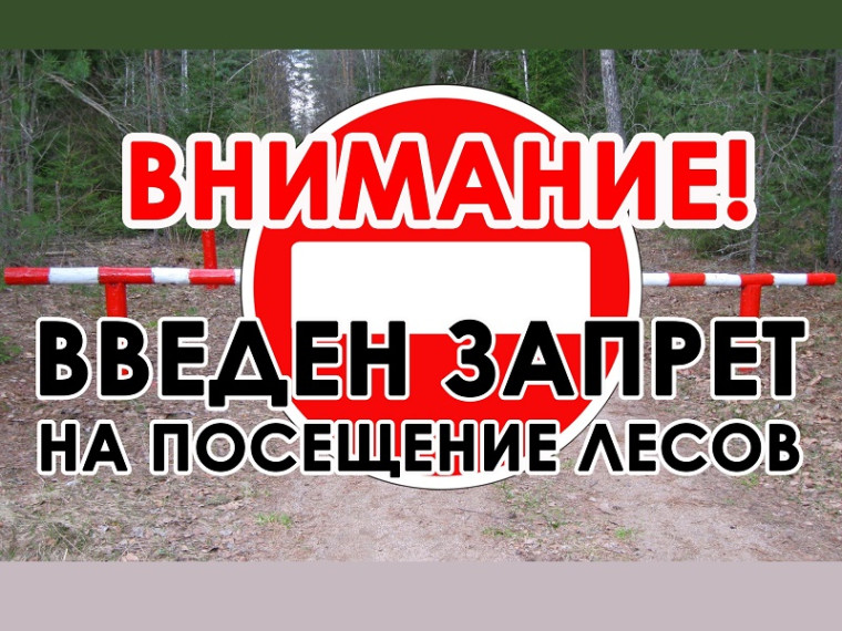 Запрет на посещение лесов в Курганской области продлен до 4 июля. Запрет на посещение лесов в Курганской области продлен до 4 июля.